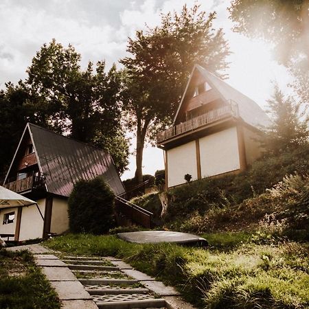 Domki Lord Villa Międzybrodzie Bialskie Kültér fotó